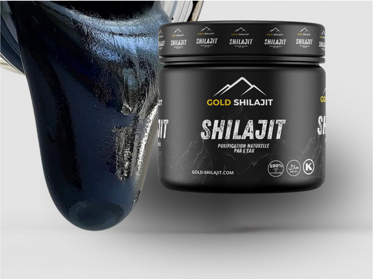 Les bienfaits du Gold Shilajit : la puissance pure des sommets himalayens 🌄